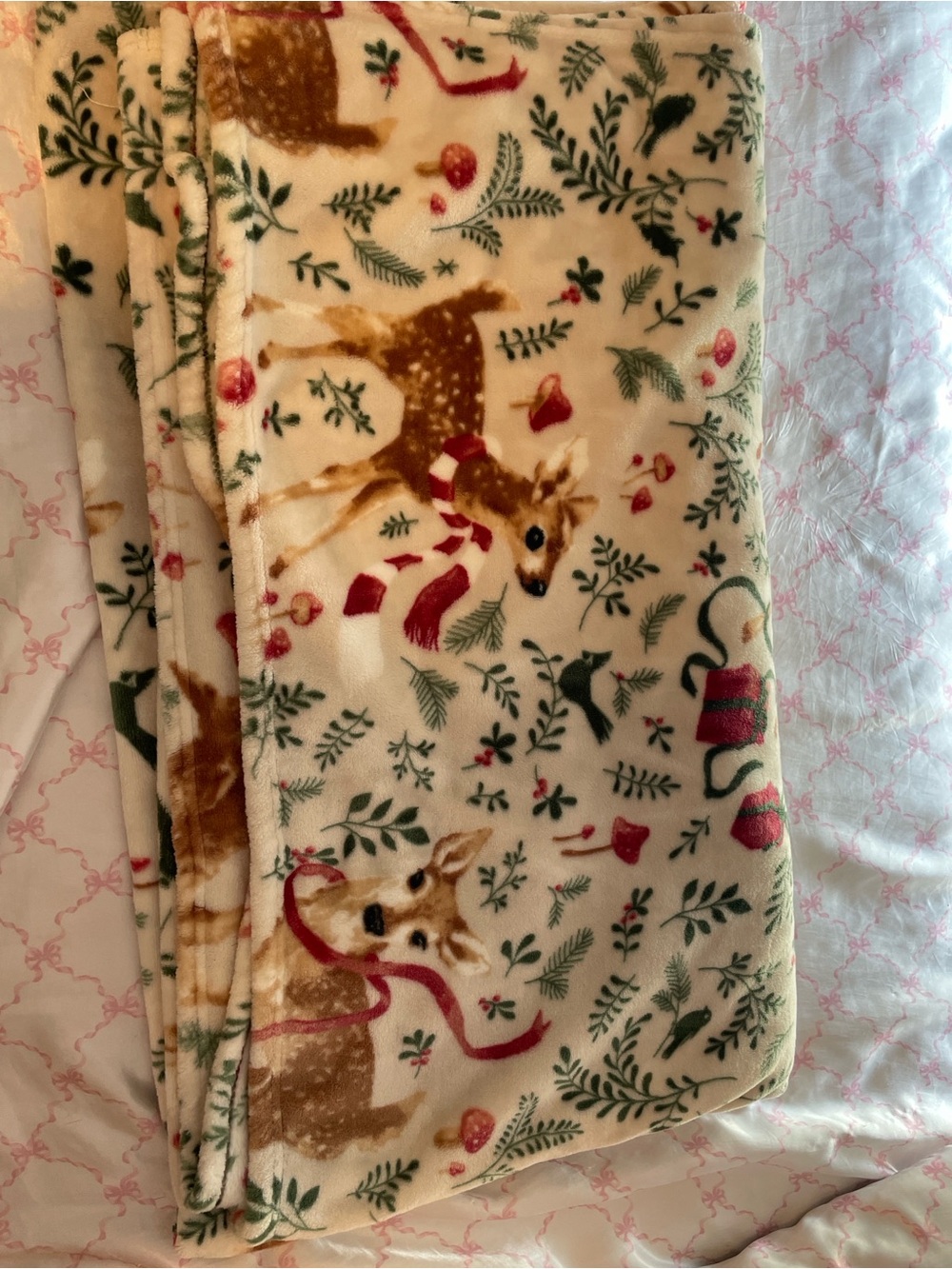 Rachel Zoe’s soft deer blanket